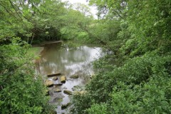 Bridge-and-sluice-over-Petherton-Bridge-Mill-stream-4