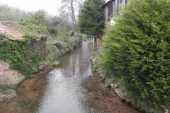 10. Upstream from Allerford Bridge