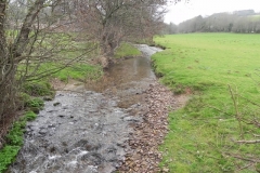 13. Looking upstream from Ford Bridge