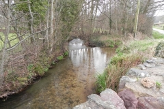 15. Looking downstream from Ford Bridge