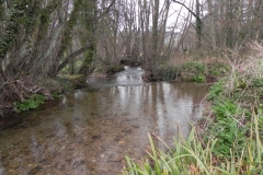 16. Looking downstream from Ford Bridge