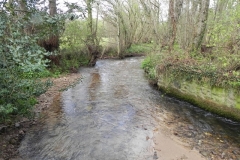 17. Looking upstream from Timberscombe ROW Bridge 3184