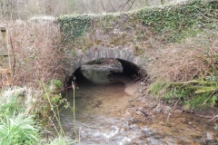 2. Pitt Bridge upstream arch