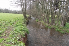 21. Upstream from Cow Bridge