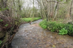 22. Upstream from Cow Bridge