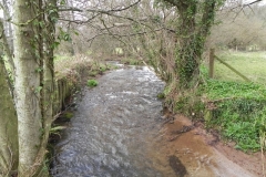 24. Upstream from Cow Bridge