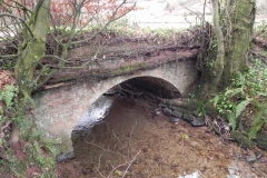 7. Slade Lane Bridge downstream arch