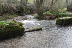 9. Slade Lane weir