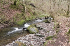 10. Flowing through Wilmersham Wood