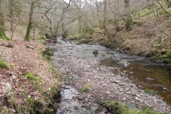 11. Flowing through Wilmersham Wood