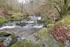 13. Flowing through Wilmersham Wood