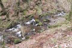 14. Flowing through Wilmersham Wood