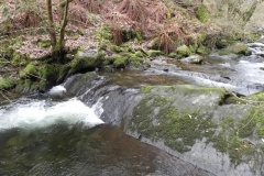16. Flowing through Wilmersham Wood