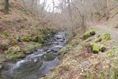 17. Flowing through Wilmersham Wood