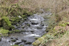18. Flowing through Wilmersham Wood