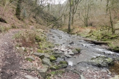 19. Flowing through Wilmersham Wood