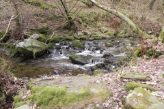 20. Flowing through Wilmersham Wood