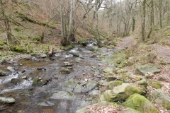 21. Flowing through Wilmersham Wood