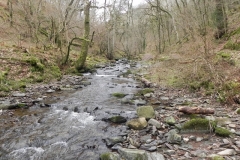 22. Flowing through Wilmersham Wood