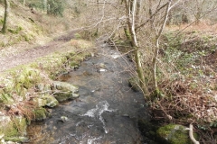 48. Looking downstream from Prickslade Combe Footbridge