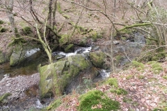 7. Flowing through Wilmersham Wood