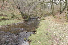 8. Flowing through Wilmersham Wood