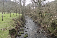 101. Looking upstream from Horner Bridge