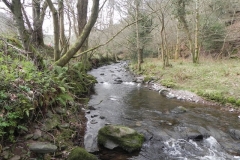 107. Downstream from Horner Bridge