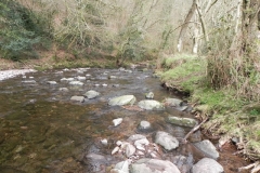 108. Downstream from Horner Bridge