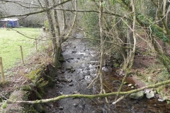 112. looking upstream from Horner Packhorse Bridge