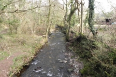 113. looking downstream from Horner Packhorse Bridge