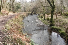 50. Downstream from Prickslade Combe
