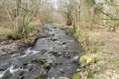 52. Downstream from Prickslade Combe
