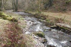 53. Downstream from Prickslade Combe