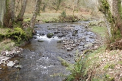 54. Downstream from Prickslade Combe