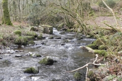 56. Flowing past Cloutsham Ball