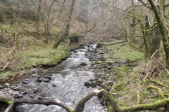 57. Flowing past Cloutsham Ball