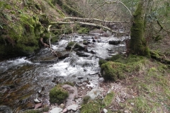 58. Flowing past Cloutsham Ball