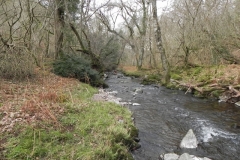 60. Flowing past Cloutsham Ball