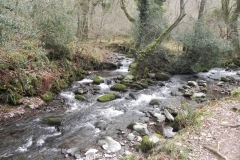 67. Looking downstream from Horner Woods East Water footbridge