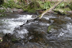 75. Downstream from East Water