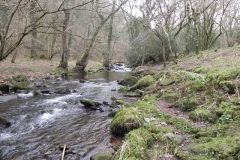 77. Downstream from East Water