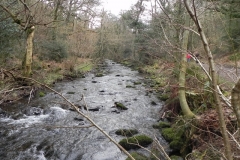 78. Downstream from East Water