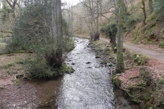 82. Looking upstream from Tucker's Path Footbridge