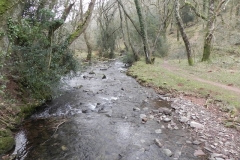 83. Looking downstream from Tucker's Path Footbridge