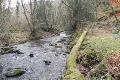 85. Flowing through Horner Wood