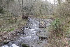 86. Flowing through Horner Wood