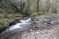 87. Flowing through Horner Wood