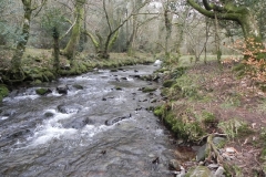 88. Flowing through Horner Wood