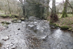 90. Flowing through Horner Wood